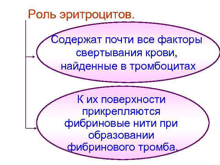 Роль эритроцитов. Содержат почти все факторы  свертывания крови, найденные в тромбоцитах  