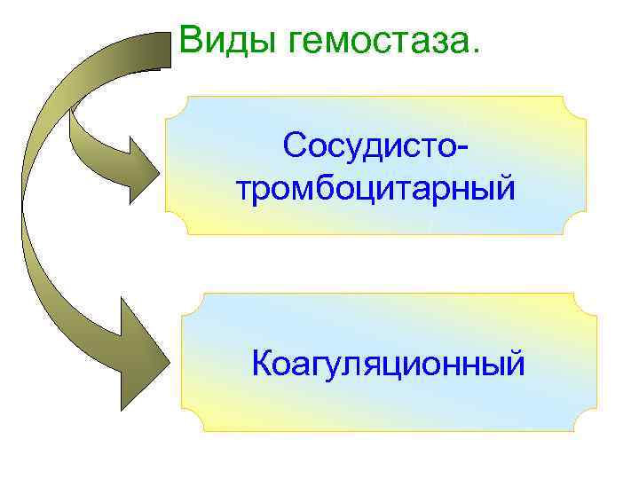 Виды гемостаза.  Сосудисто-  тромбоцитарный  Коагуляционный 