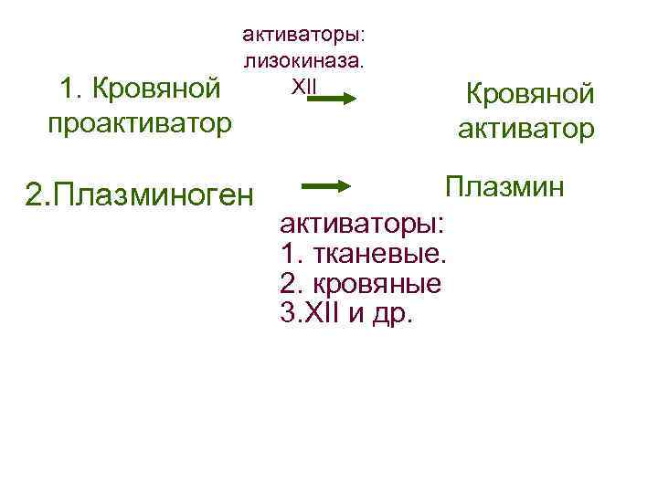     активаторы:   лизокиназа.  1. Кровяной  XII 