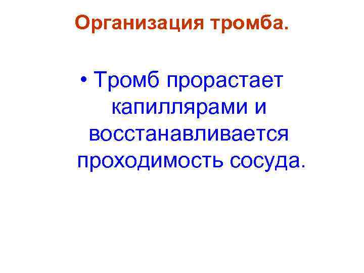 Организация тромба.  • Тромб прорастает  капиллярами и восстанавливается проходимость сосуда. 