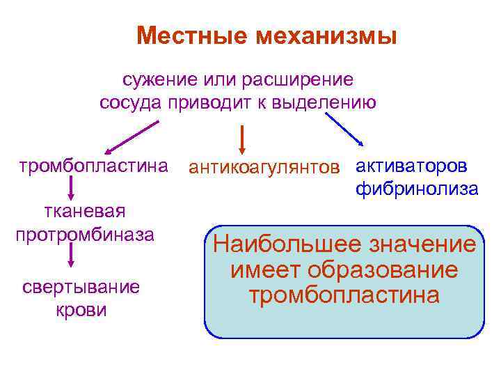   Местные механизмы   сужение или расширение  сосуда приводит к выделению