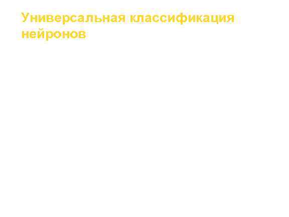 Универсальная классификация нейронов Учитывает направление (вход и выход)  сигналов в пределах одной нервной