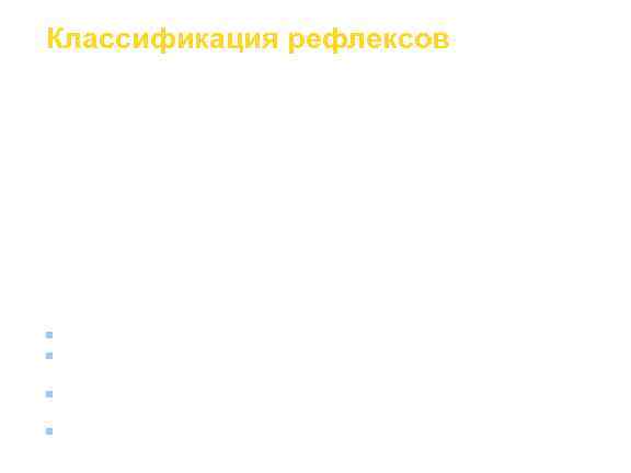 Классификация рефлексов  По локализации рецепторов: 1. Экстероцептивные – рефлексы с рецепторов кожи –