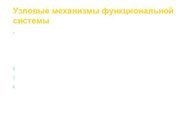 Узловые механизмы функциональной системы 1.  Афферентный синтез:  § обстановочная и пусковая афферентация;