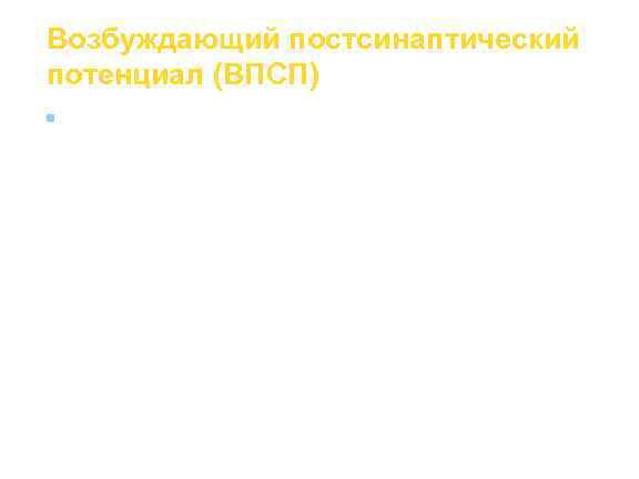 Возбуждающий постсинаптический потенциал (ВПСП) n  Возбуждающие ПСП вызваны возрастанием проводимости мембраны для Na+.