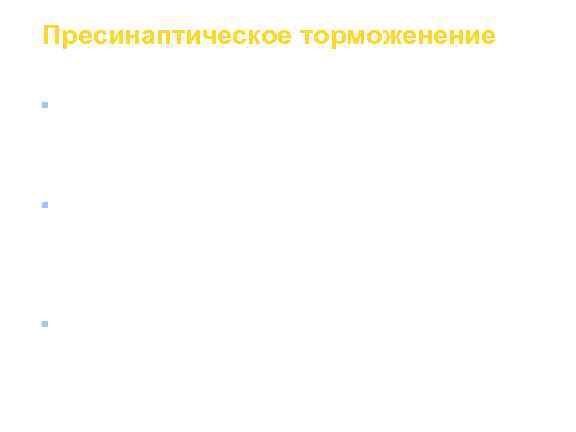 Пресинаптическое торможенение n  Пресинаптическое торможение обусловлено наличием тормозных вставочных нейронов, которые формируют аксо-