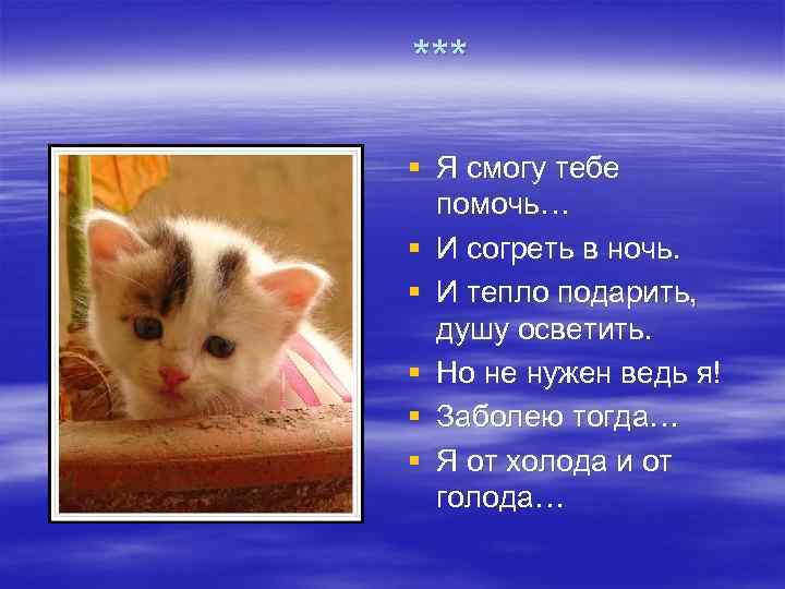 *** § Я смогу тебе  помочь… § И согреть в ночь. § И