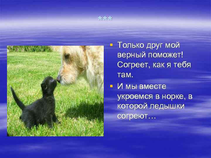 ***  § Только друг мой верный поможет! Согреет, как я тебя там. 