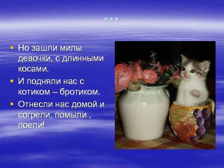     *** § Но зашли милы  девочки, с длинными 