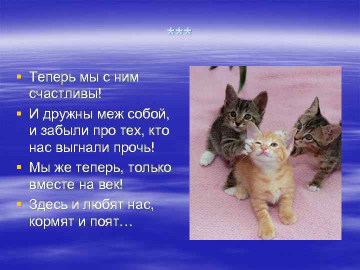      *** § Теперь мы с ним  счастливы! §