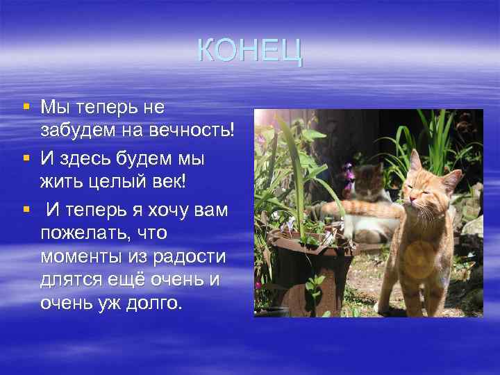    КОНЕЦ § Мы теперь не  забудем на вечность! § И