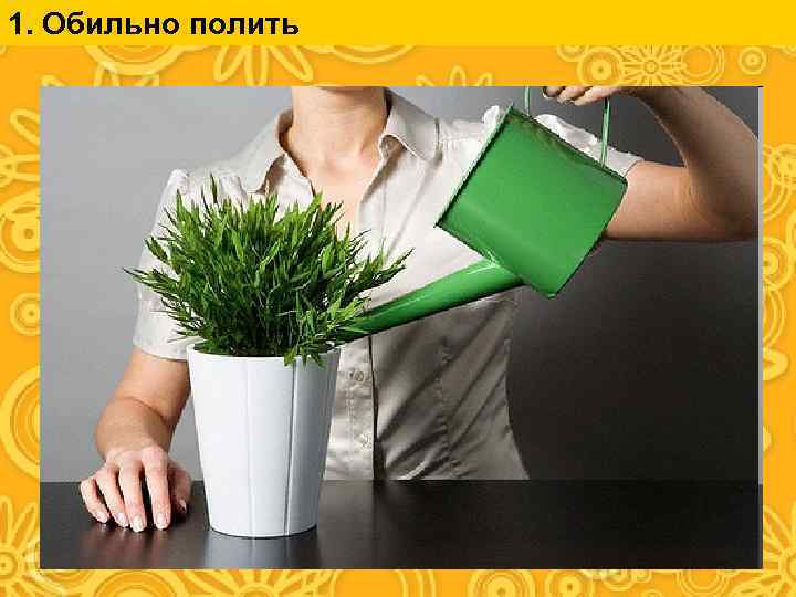 1. Обильно полить 