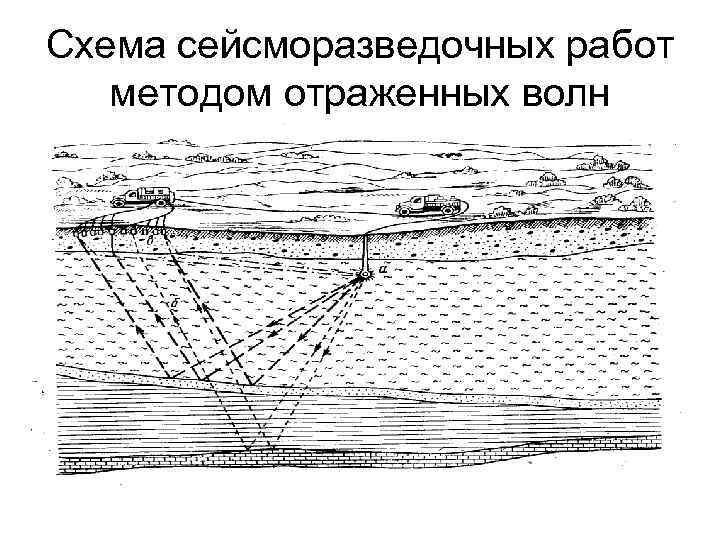 Схема сейсморазведочных работ методом отраженных волн Схема сейсморазведочных работ методом отраженных волн