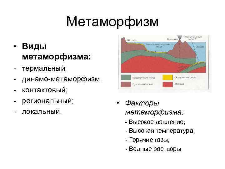 Метаморфизм • Виды метаморфизма: - термальный; - динамо-метаморфизм; Метаморфизм • Виды метаморфизма: - термальный; - динамо-метаморфизм;