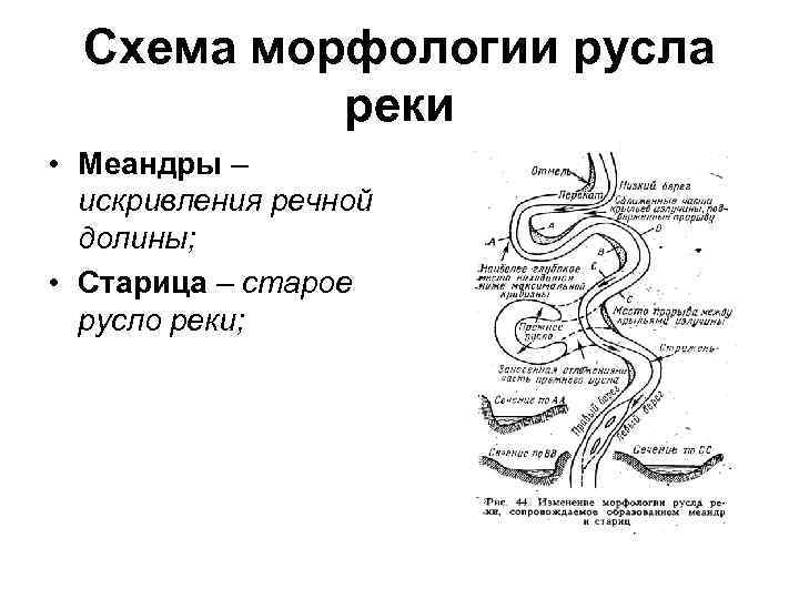Схема морфологии русла реки • Меандры – искривления речной долины; Схема морфологии русла реки • Меандры – искривления речной долины;