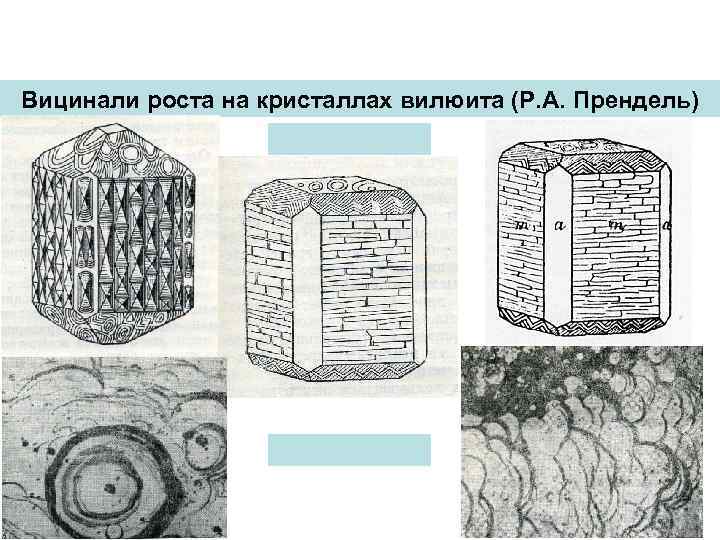 Вицинали роста на кристаллах вилюита (Р. А. Прендель) 
