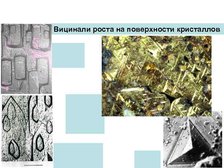 Вицинали роста на поверхности кристаллов 