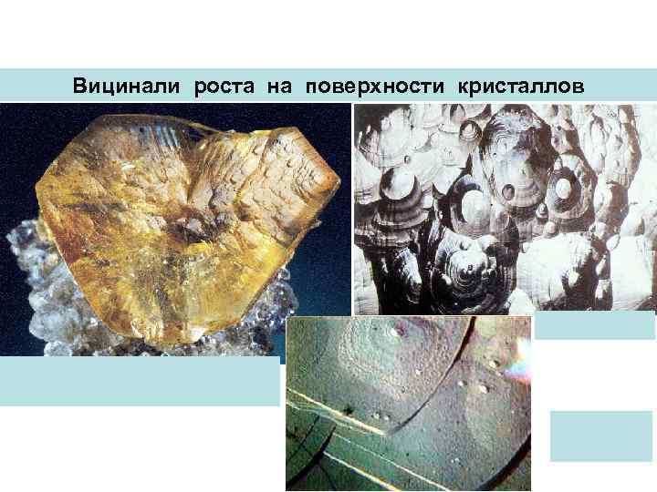 Вицинали роста на поверхности кристаллов 