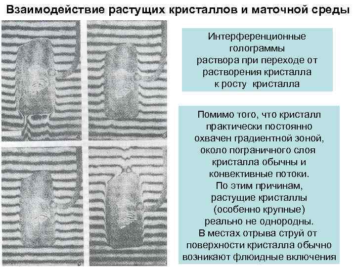 Взаимодействие растущих кристаллов и маточной среды      Интерференционные  