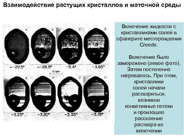 Взаимодействие растущих кристаллов и маточной среды       Включение жидкости