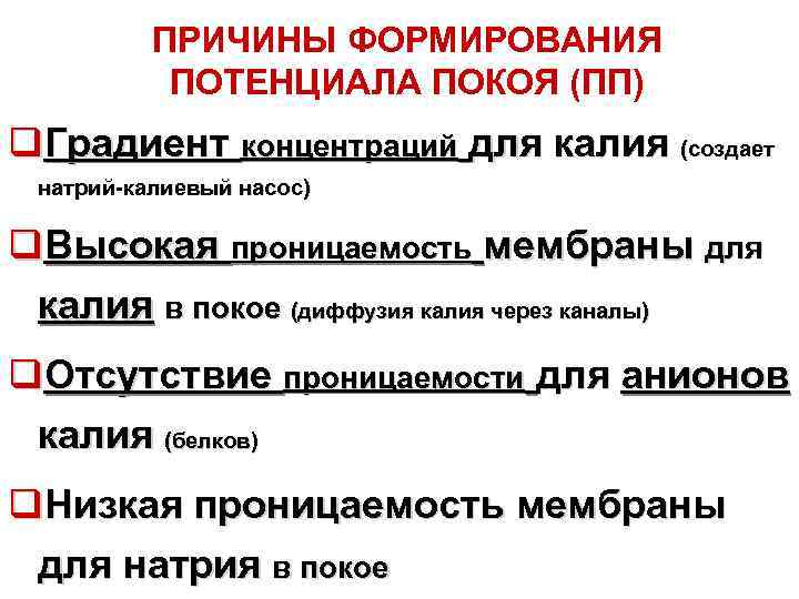    ПРИЧИНЫ ФОРМИРОВАНИЯ  ПОТЕНЦИАЛА ПОКОЯ (ПП) q. Градиент концентраций для калия