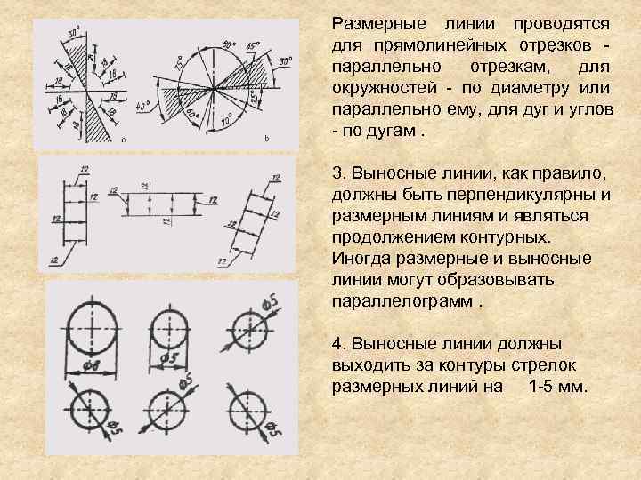 Размерная линия