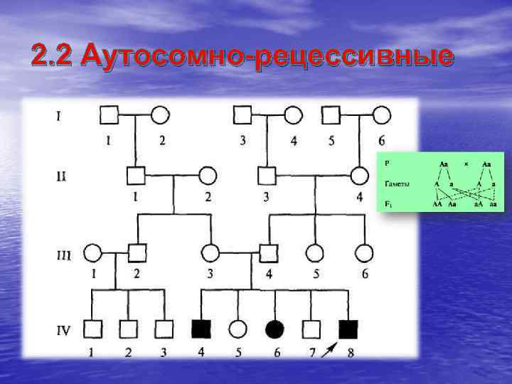 2. 2 Аутосомно-рецессивные 