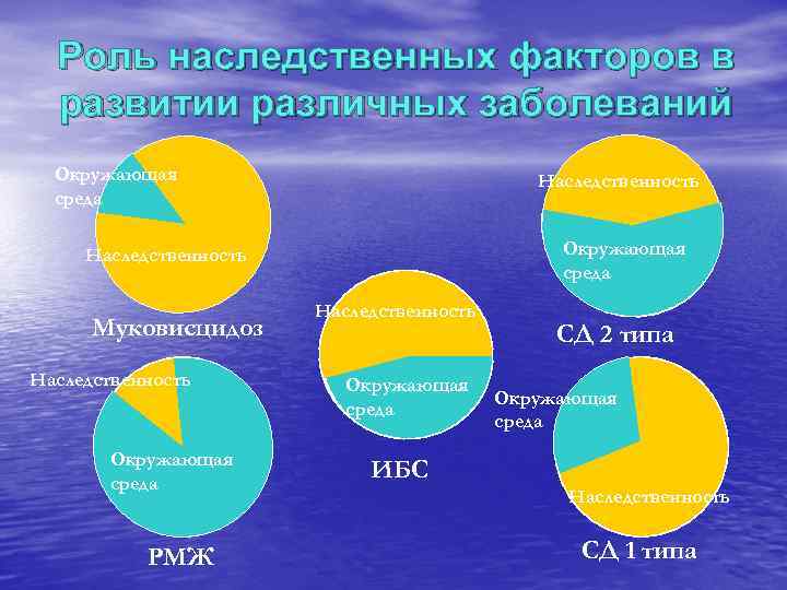  Роль наследственных факторов в  развитии различных заболеваний  Окружающая   