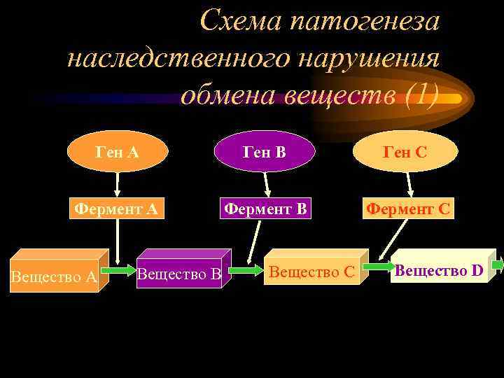 Схема патогенеза наследственного нарушения обмена веществ (1) Ген А Ген В Ген С Фермент