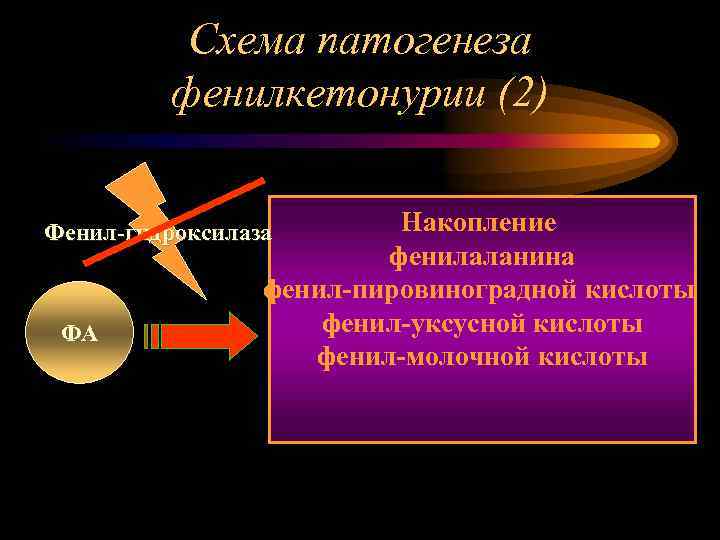 Схема патогенеза фенилкетонурии (2) Накопление фенилаланина фенил-пировиноградной кислоты фенил-уксусной кислоты фенил-молочной кислоты Фенил-гидроксилаза ФА
