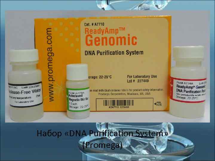 Набор «DNA Purification System»  (Promega) 