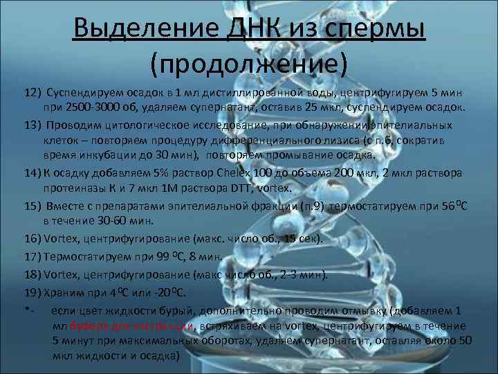   Выделение ДНК из спермы    (продолжение) 12) Суспендируем осадок в