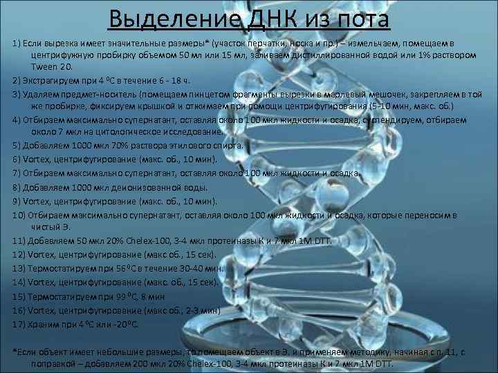 Тест днк по волосам. Выделение ДНК из. Если ДНК В волосе. ДНК из волос. Способы выделения ДНК.