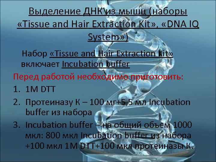   Выделение ДНК из мышц (наборы  «Tissue and Hair Extraction Kit» ,