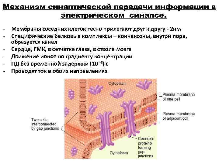 Механизм передачи оки