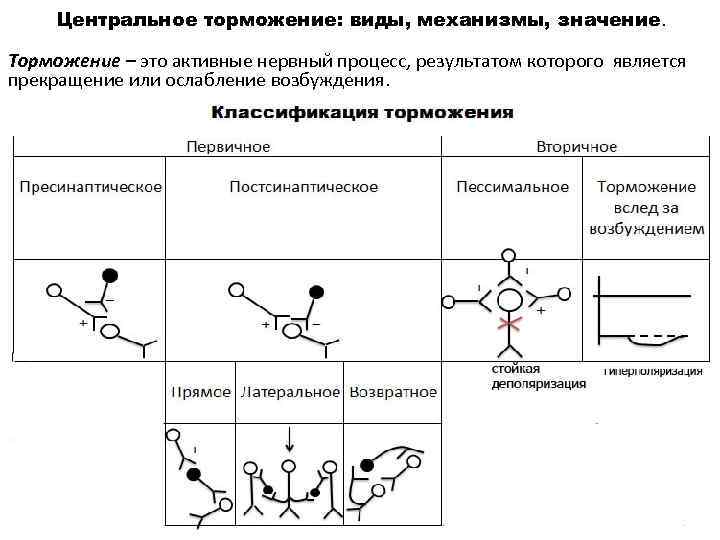 Физиология в схемах и в таблицах и схемах