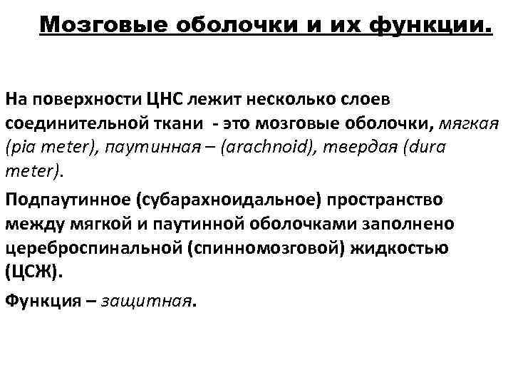   Мозговые оболочки и их функции.  На поверхности ЦНС лежит несколько слоев