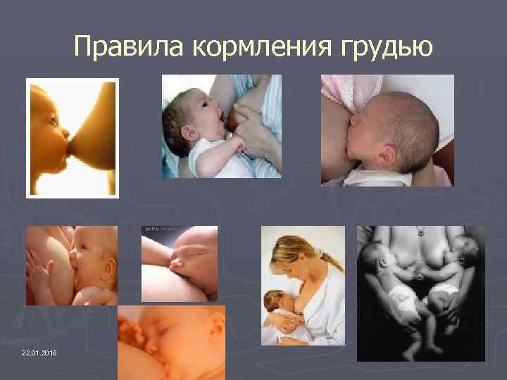    Правила кормления грудью 22. 01. 2018 