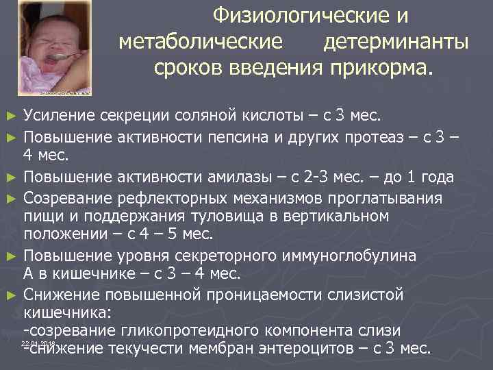      Физиологические и   метаболические  детерминанты  