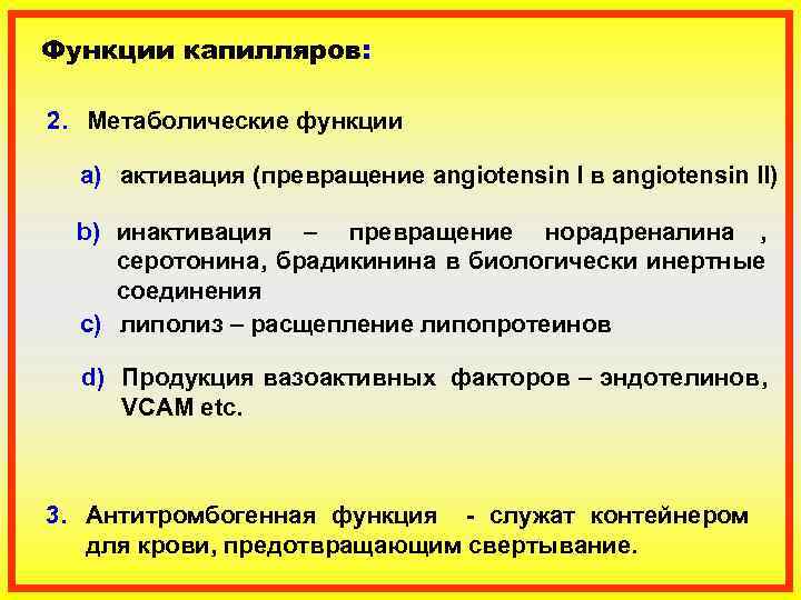 Функции капилляров:  2. Метаболические функции  a) активация (превращение angiotensin I в angiotensin