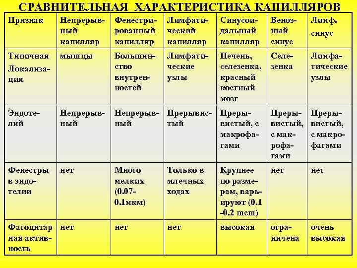  СРАВНИТЕЛЬНАЯ ХАРАКТЕРИСТИКА КАПИЛЛЯРОВ Признак Непрерыв-  Фенестри-  Лимфати-  Синусои- Веноз- 