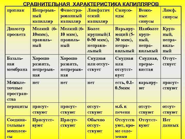  СРАВНИТЕЛЬНАЯ ХАРАКТЕРИСТИКА КАПИЛЛЯРОВ признак  Непрерыв-  Фенестри-  Лимфатич Синусо- Веноз- Лимф.