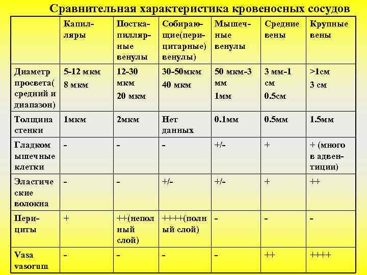    Сравнительная характеристика кровеносных сосудов   Капил-  Постка-  Собираю-