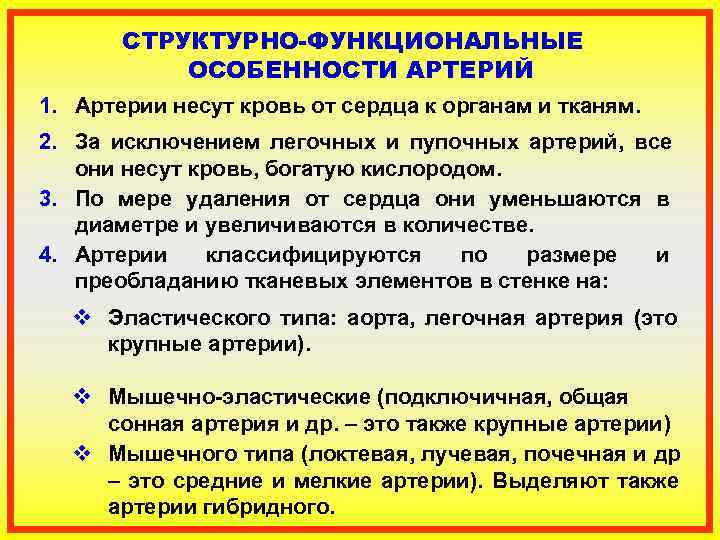   СТРУКТУРНО-ФУНКЦИОНАЛЬНЫЕ  ОСОБЕННОСТИ АРТЕРИЙ 1. Артерии несут кровь от сердца к органам
