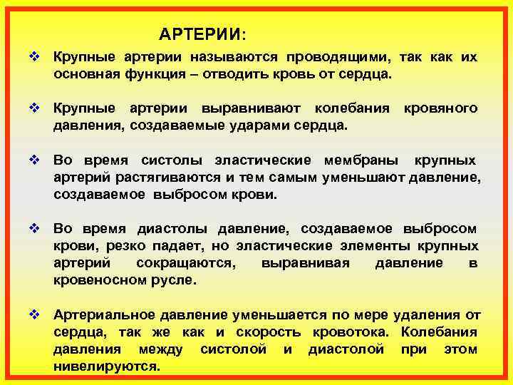    АРТЕРИИ: v Крупные артерии называются проводящими,  так как их 
