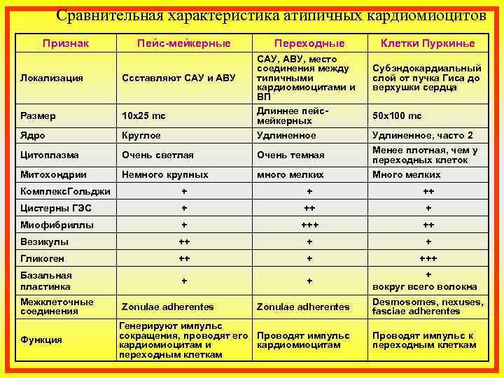    Сравнительная характеристика атипичных кардиомиоцитов Признак   Пейс-мейкерные  Переходные 