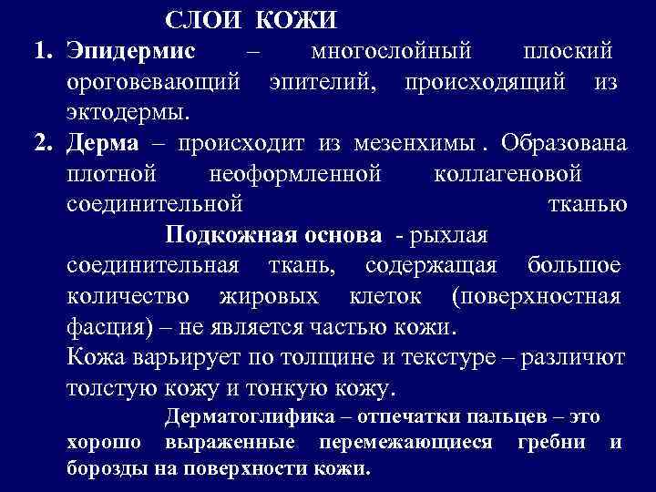   СЛОИ КОЖИ 1. Эпидермис  – многослойный плоский  ороговевающий эпителий, происходящий