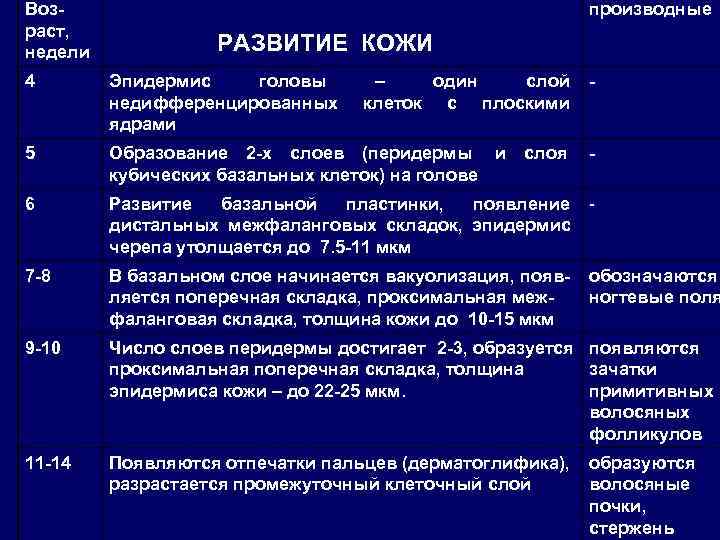 Воз-     производные раст, недели   РАЗВИТИЕ КОЖИ 4 