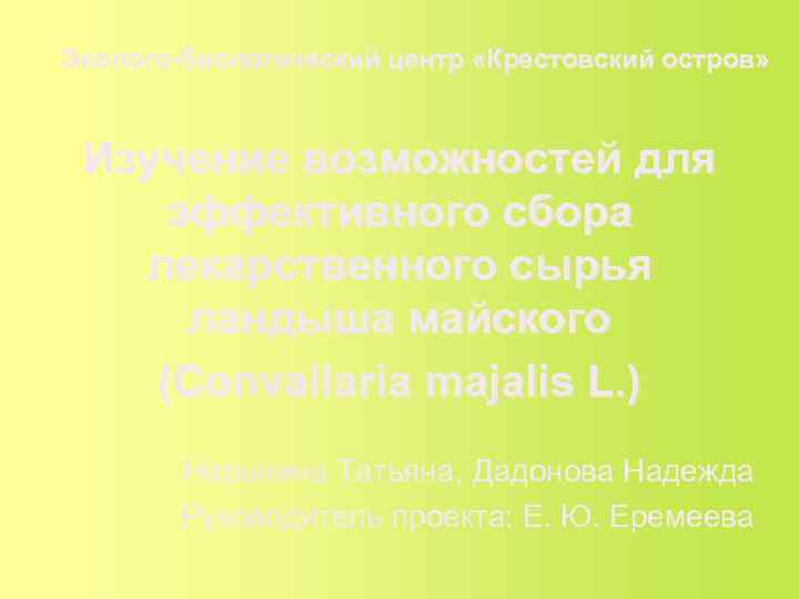 Эколого-биологический центр «Крестовский остров» Изучение возможностей для эффективного сбора  лекарственного сырья  ландыша