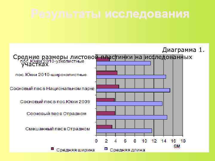   Результаты исследования     Диаграмма 1. Средние размеры листовой пластинки